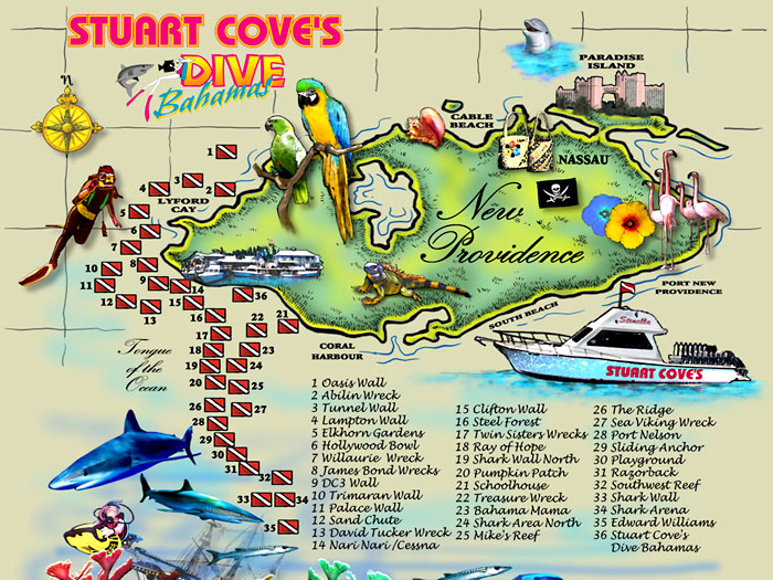 stuart coves diving spots